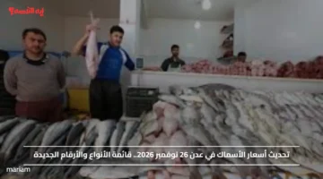 تحديث أسعار الأسماك في عدن 26 نوفمبر 2026.. قائمة الأنواع والأرقام الجديدة